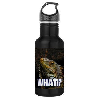 Botella De Agua ¿¡Qué!? Iguana