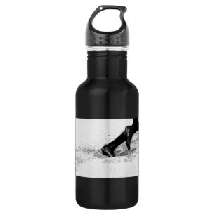 Botella De Agua quedándose sin arena