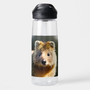 Botella De Agua Quintin El Ginger Quokka,