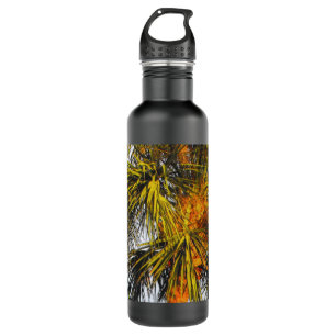 Botella De Agua Ramas de palmera, tarde Sun