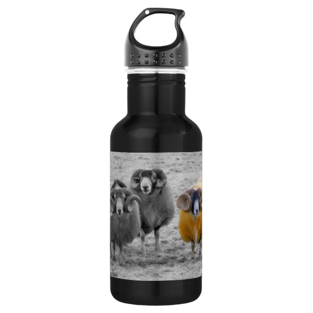 Botella De Agua Rams escocés (Anverso)