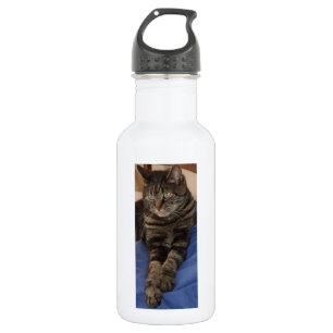 Botella de agua real de Dave