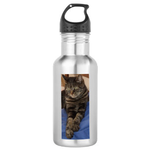 Botella de agua real de Dave (532 ml), acero