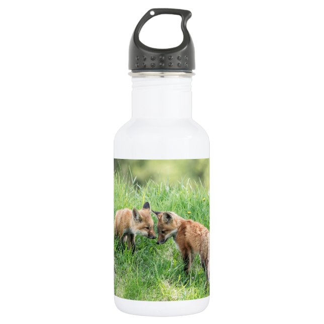 Botella De Agua Red Fox Kits (Anverso)