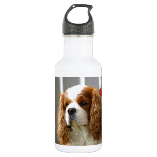 Botella De Agua Retrato arrogante del perro de aguas de rey