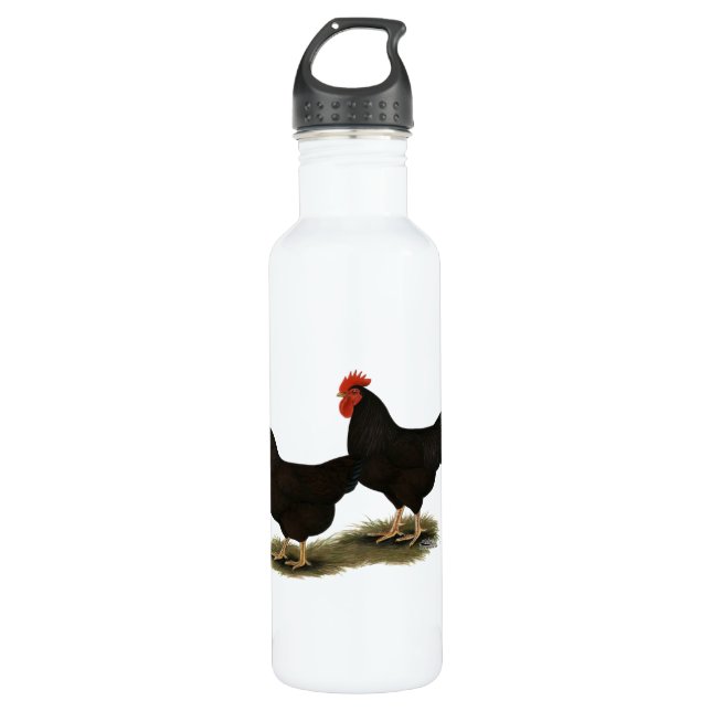 Botella De Agua Rhode Island Red Bantams (Anverso)