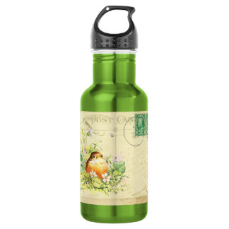 Botella De Agua Robin bebé con violetas