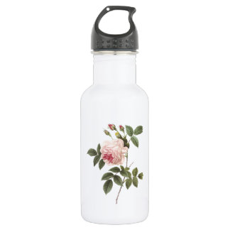 Botella De Agua rosa de té (Rosa indica) por Redouté