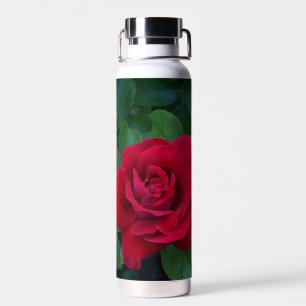 Botella De Agua Rosa Roja de Cerca