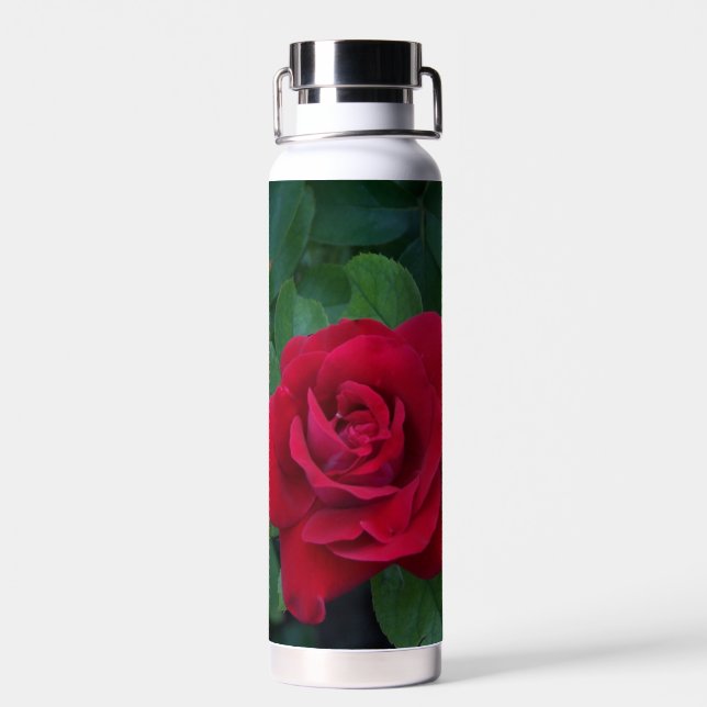 Botella De Agua Rosa Roja de Cerca (Atrás)