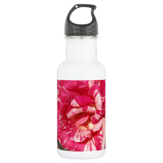 Botella De Agua Rosa roja y crema