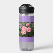 Rosa rosa Camelback