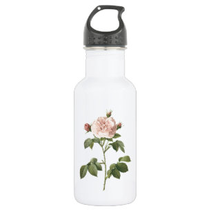Botella De Agua rosa rosa pálido (Rosa alba regalis) de Redouté