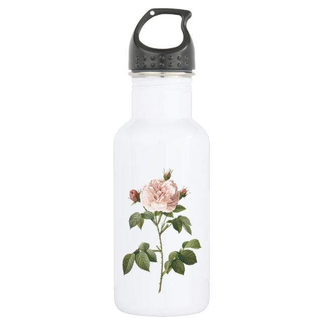 Botella De Agua rosa rosa pálido (Rosa alba regalis) de Redouté (Anverso)