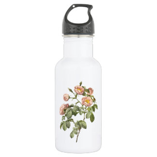 Botella De Agua rosa suave (Rosa mollissima) de Redouté