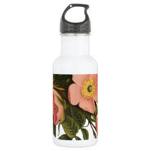 Botella De Agua Rosas de época bello botánico rosado