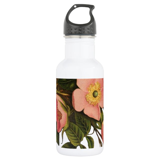 Botella De Agua Rosas de época bello botánico rosado (Anverso)