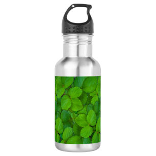 Botella De Agua Sacro Basil Hojas de la Moneda Verde de Tulsi