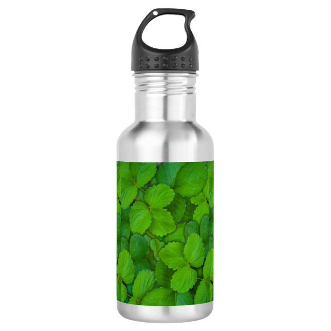 Botella De Agua Sacro Basil Hojas de la Moneda Verde de Tulsi (Anverso)