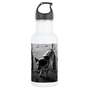Botella De Agua ¡Sacúdalo!