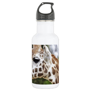 Botella De Agua Safari Africa Mod Moda  Destiny Giraffe