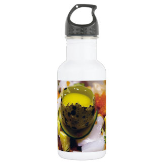 Botella De Agua Sashimi Salmón Atún Pescado Mariscos Caviar Japoné