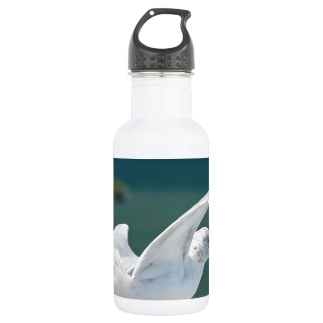 Botella De Agua Seagull.JPG (Anverso)