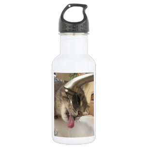 Botella de agua sedienta del gato