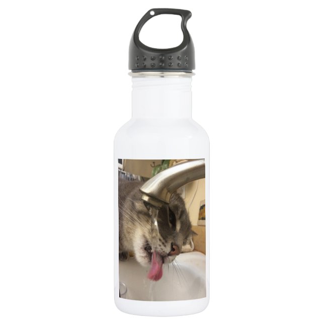 Botella de agua sedienta del gato (Anverso)