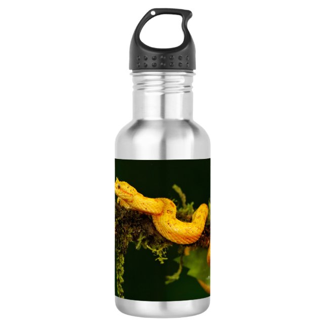 Botella De Agua Serpiente de veneno de Costa Rica (Anverso)