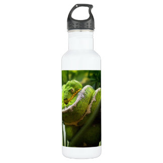 Botella De Agua Serpiente del árbol