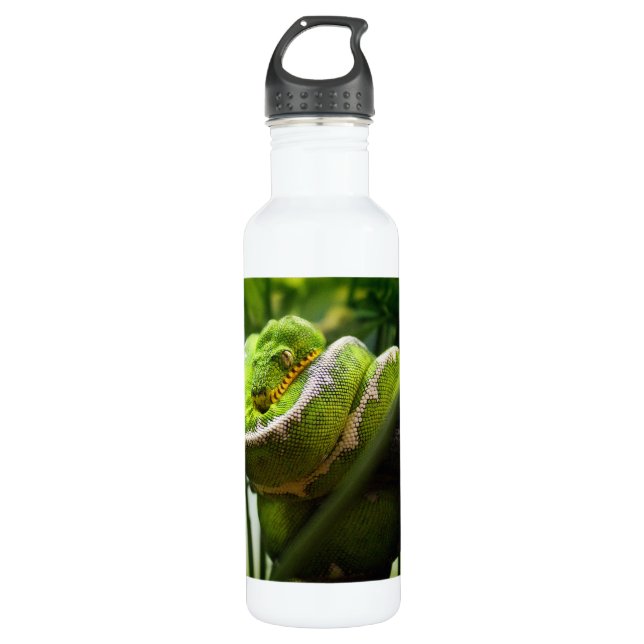 Botella De Agua Serpiente del árbol (Anverso)