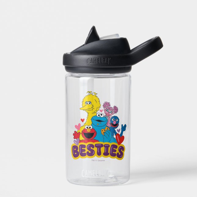Botella De Agua Sesame Street Valentine Besties (Izquierdo)