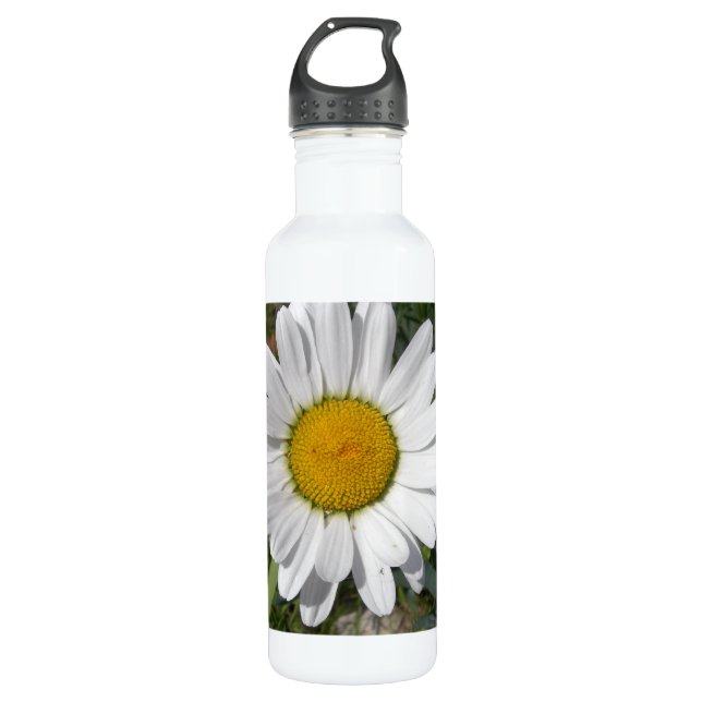 Botella De Agua Shasta Daisy (Chrysanthemum máximo) (Anverso)