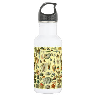 Botella De Agua Shell de conchas marinas Mollusk Clam Elegante Art