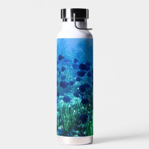 Botella De Agua Shoal de Blue Discus Fish Underwater Photo