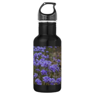 Botella De Agua Siete robles