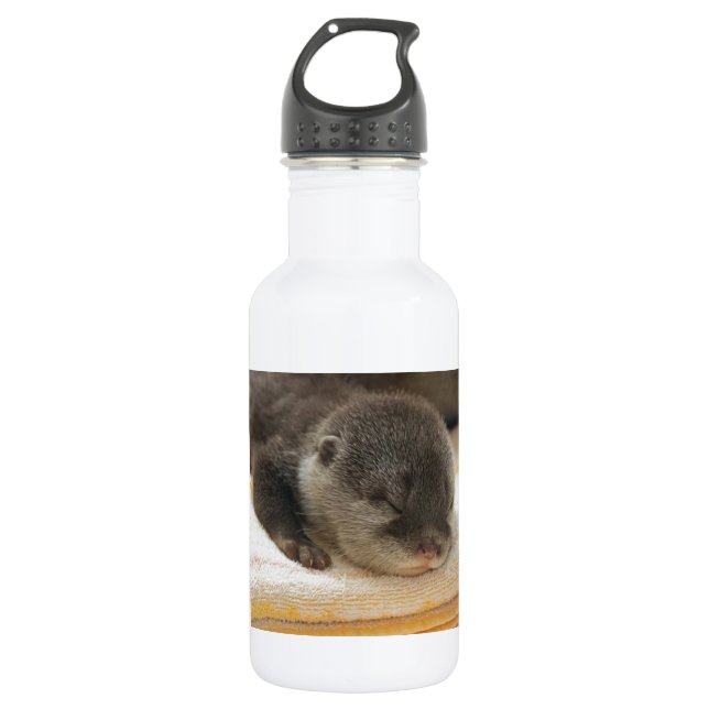 Botella De Agua Sleepy Otter (Anverso)