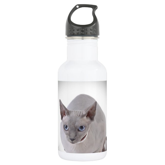 Botella De Agua Sphynx cat (Anverso)