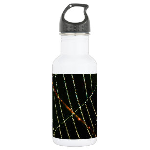 Botella De Agua Spider Web