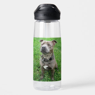 Botella De Agua Staffordshire Bull Terrier Sentado A La Atención,