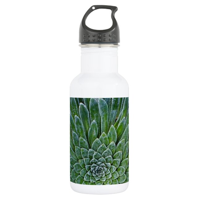Botella De Agua Suculenta planta del desierto (Anverso)