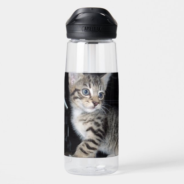 Botella De Agua Tabby Kitten malicioso, (Atrás)