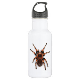 Botella De Agua Tarantula