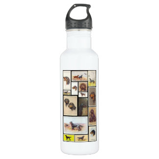 Botella De Agua Tarjetas de cigarrillo Vintage Gordon Setter