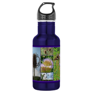 Botella De Agua Teasel Thistle - Dipsacus fullonum