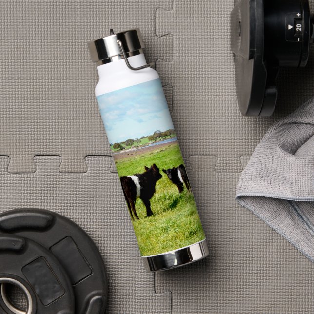 Botella De Agua Terneras Galloway, (Gimnasio (girado))