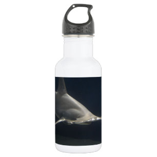 Botella De Agua Tiburón de Hammerhead