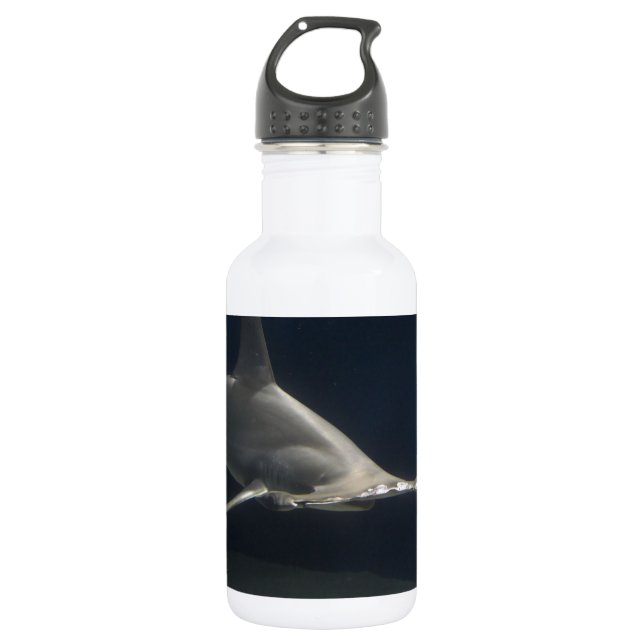 Botella De Agua Tiburón de Hammerhead (Anverso)