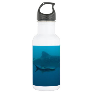 Botella De Agua Tiburones Pescado Agua Océano Tropical Playa Paz A